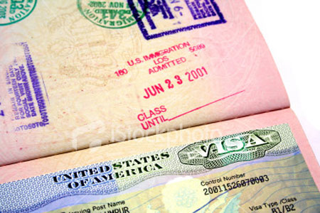 Legal Translation Service